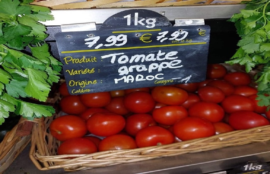 المغرب لأول مرة يتجاوز إسبانيا في صادرات الطماطم للاتحاد الأوروبي